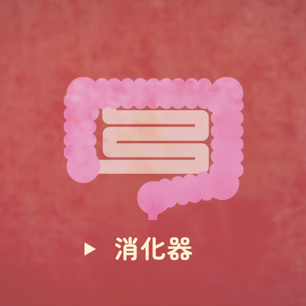 消化器