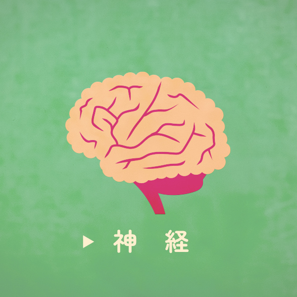 神経