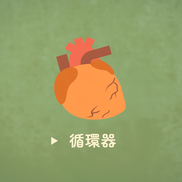 循環器