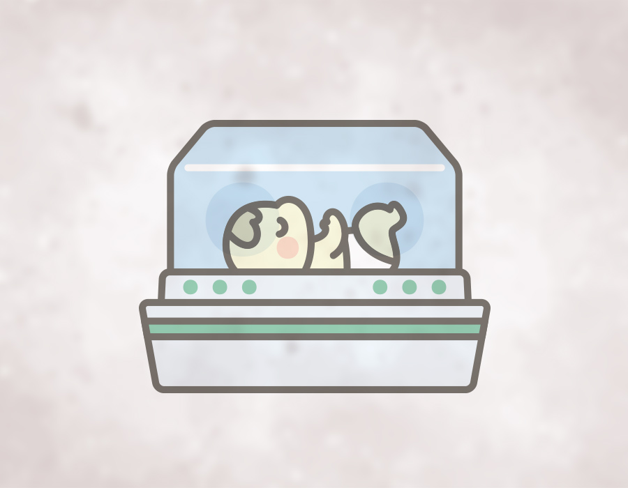 新生児